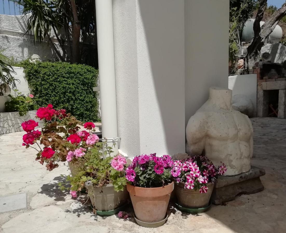 B&B L'Altare Bianco Vieste Exterior foto